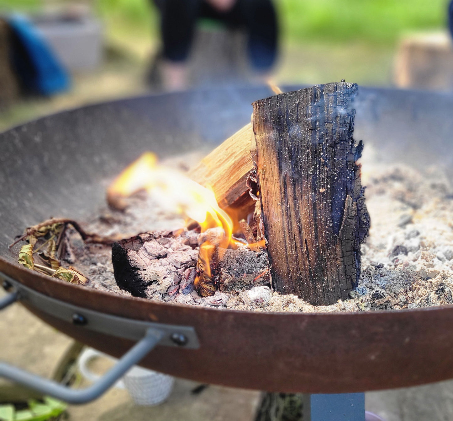 Forest Bathing Experience