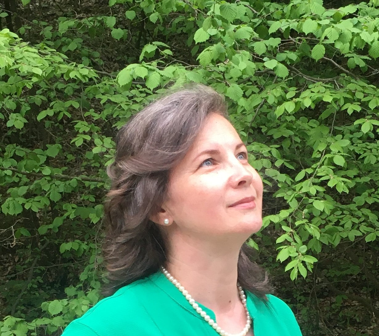 Meditation Classes