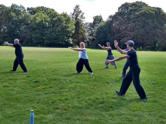 Personal Tuition / Introduction To Tai Chi & Qigong