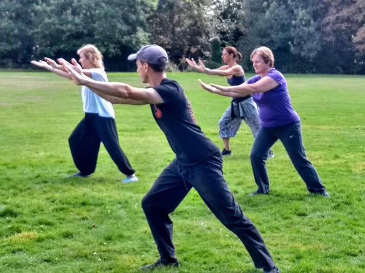 Personal Tuition / Introduction To Tai Chi & Qigong